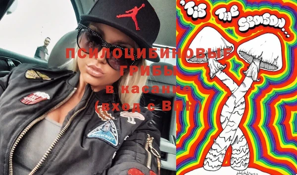 твердый Аркадак