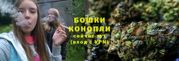 бошки Арсеньев